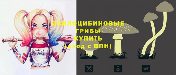 стафф Алексеевка