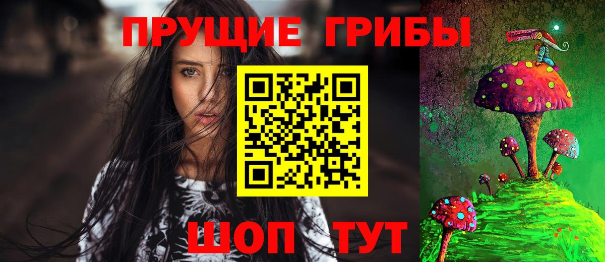 Галлюциногенные грибы Psilocybine cubensis Красноярск