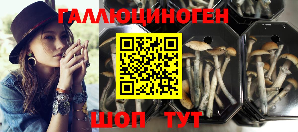 что такое наркотик  Галлюциногенные грибы мухоморы  Вход с VPN  Красноярск 
